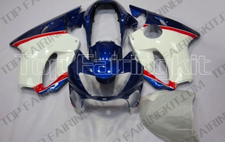 Aftermarket Motorcycle Fairings