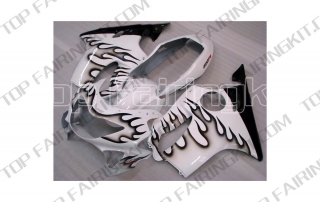 Aftermarket Motorcycle Fairings