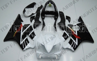 Aftermarket Motorcycle Fairings