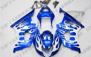 Aftermarket Motorcycle Fairings