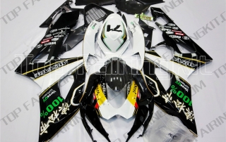 Aftermarket Motorcycle Fairings