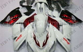 Aftermarket Motorcycle Fairings